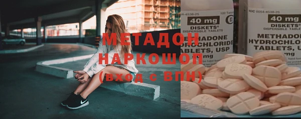 индика Гусь-Хрустальный