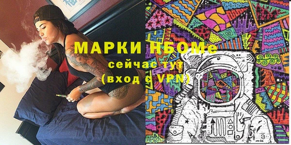 индика Гусь-Хрустальный