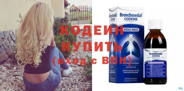 индика Гусь-Хрустальный