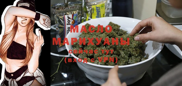 spice Гусев