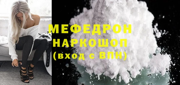 индика Гусь-Хрустальный