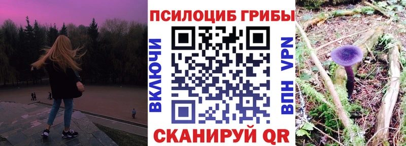 Псилоцибиновые грибы Psilocybine cubensis Нытва
